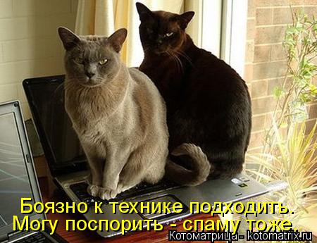 Боязно к технике подходить. Могу поспорить - спаму тоже.... Котоматрица: Боязно к технике подходить. Могу поспорить - спаму тоже.