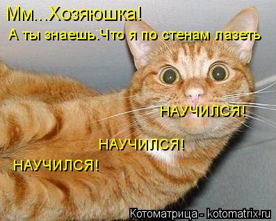 Мм...Хозяюшка! А ты знаешь.Что я по стенам лазеть НАУЧИЛСЯ! НАУЧИЛСЯ! НАУЧИЛСЯ!... Котоматрица: Мм...Хозяюшка! А ты знаешь.Что я по стенам лазеть НАУЧИЛСЯ! НАУЧИЛСЯ! НАУЧИЛСЯ!