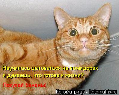 Котоматрица: Научилась целоваться на помидорах  и думаешь, что готова к жизни?  Покупай бананы)