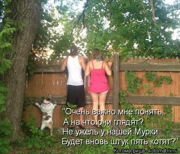 Будет вновь штук пять котят?" Не ужель у нашей Мурки А на что они глядят? "Очень важно мне понять,... Котоматрица: Будет вновь штук пять котят?" Не ужель у нашей Мурки А на что они глядят? "Очень важно мне понять,