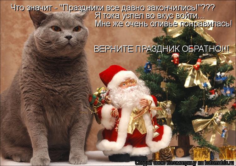 Котоматрица: Что значит - "Праздники все давно закончились!"??? Я тока успел во вкус войти... Мне же очень оливье понравилась! ВЕРНИТЕ ПРАЗДНИК ОБРАТНО!!!