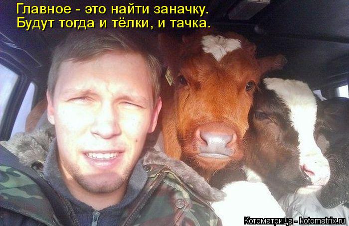 Котоматрица: Главное - это найти заначку. Будут тогда и тёлки, и тачка.