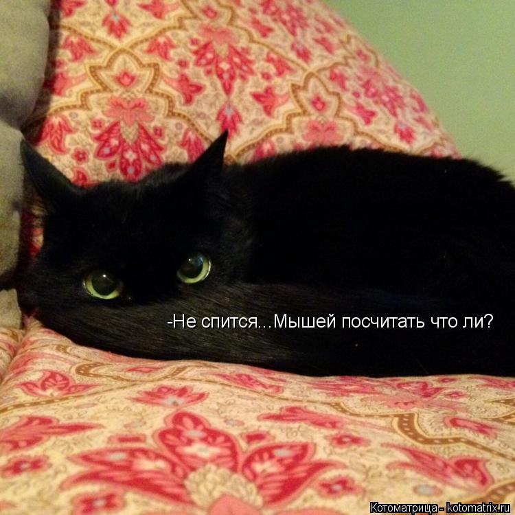 -Не спится...Мышей посчитать что ли?... Котоматрица: -Не спится...Мышей посчитать что ли?