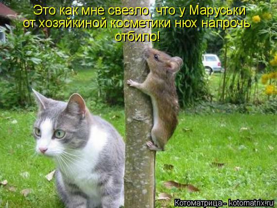 Это как мне свезло, что у Маруськи от хозяйкиной косметики нюх напрочь отбило!... Котоматрица: Это как мне свезло, что у Маруськи от хозяйкиной косметики нюх напрочь отбило!