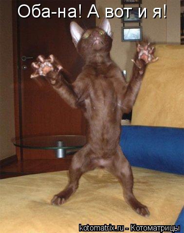 Оба-на! А вот и я!... Котоматрица: Оба-на! А вот и я!