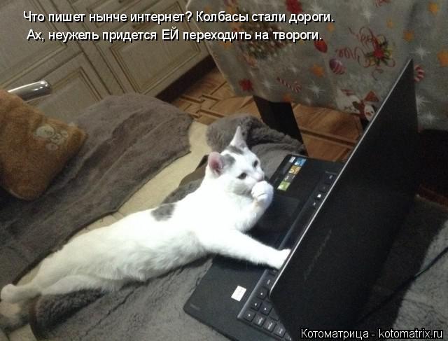 Котоматрица: Что пишет нынче интернет? Колбасы стали дороги. Ах, неужель придется ЕЙ переходить на твороги.