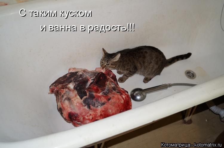 С таким куском и ванна в радость!!!... Котоматрица: С таким куском и ванна в радость!!!