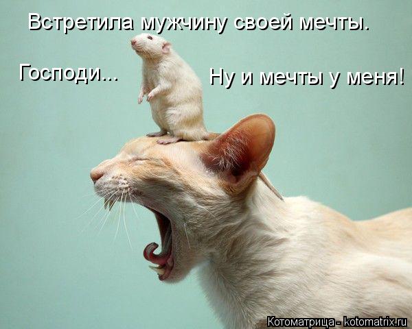 Котоматрица: Встретила мужчину своей мечты. Господи...  Ну и мечты у меня!