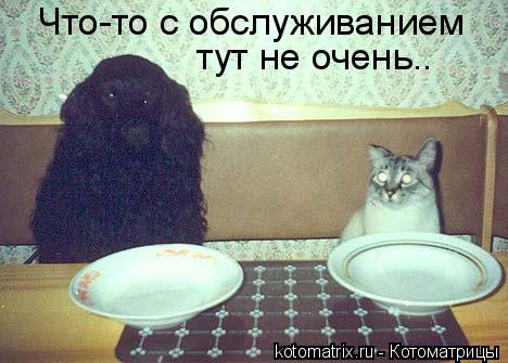 Что-то с обслуживанием тут не очень..... Котоматрица: Что-то с обслуживанием тут не очень..