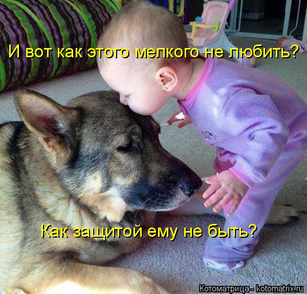 Котоматрица: И вот как этого мелкого не любить? Как защитой ему не быть?