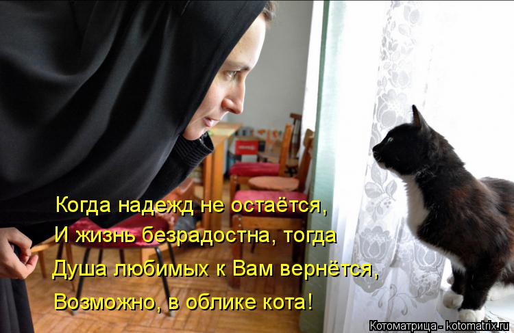 Когда надежд не остаётся, И жизнь безрадостна, тогда Душа любимых к Вам вернётся, Возможно, в облике ... Котоматрица: Когда надежд не остаётся, И жизнь безрадостна, тогда Душа любимых к Вам вернётся, Возможно, в облике кота!