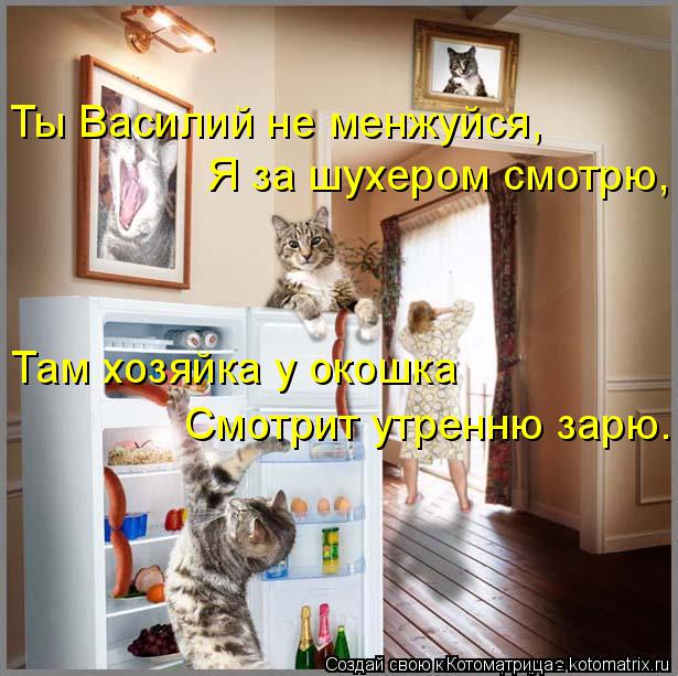 Котоматрица: Ты Василий не менжуйся, Я за шухером смотрю, Там хозяйка у окошка Смотрит утренню зарю.