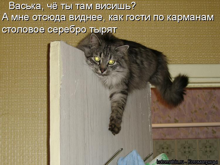 Васька, чё ты там висишь? А мне отсюда виднее, как гости по карманам столовое серебро тырят... Котоматрица: Васька, чё ты там висишь? А мне отсюда виднее, как гости по карманам столовое серебро тырят