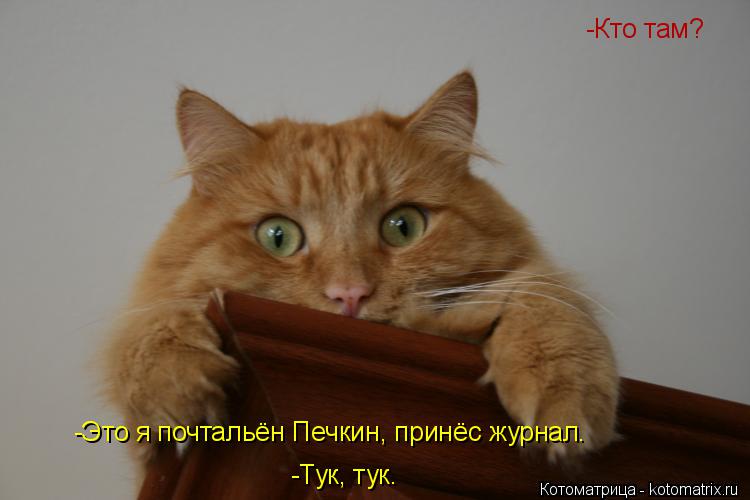 Котоматрица: -Тук, тук. -Кто там? -Это я почтальён Печкин -Это я почтальён Печкин, принёс журнал -Это я почтальён Печкин, принёс журнал.