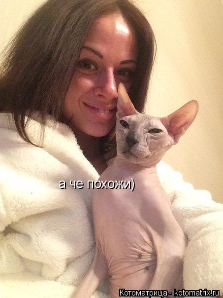 Котоматрица: а че похожи)