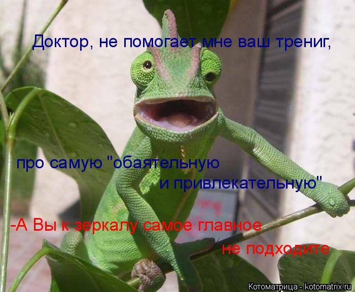 Котоматрица: Доктор, не помогает мне ваш трениг, про самую "обаятельную  и привлекательную" -А Вы к зеркалу самое главное  не подходите