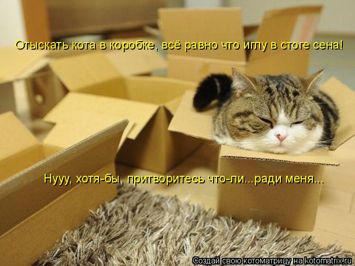 Котоматрица: Отыскать кота в коробке, всё равно что иглу в стоге сена! Нууу, хотя-бы, притворитесь что-ли...ради меня...