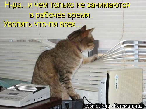 Котоматрица: Н-да...и чем только не занимаются в рабочее время.. в рабочее время.. Уволить что-ли всех...