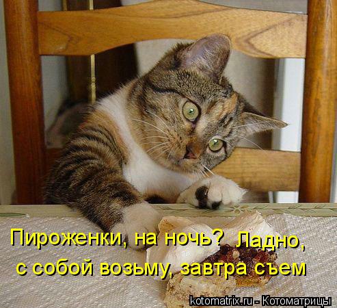 Котоматрица: Пироженки, на ночь? Ладно,  с собой возьму, завтра съем