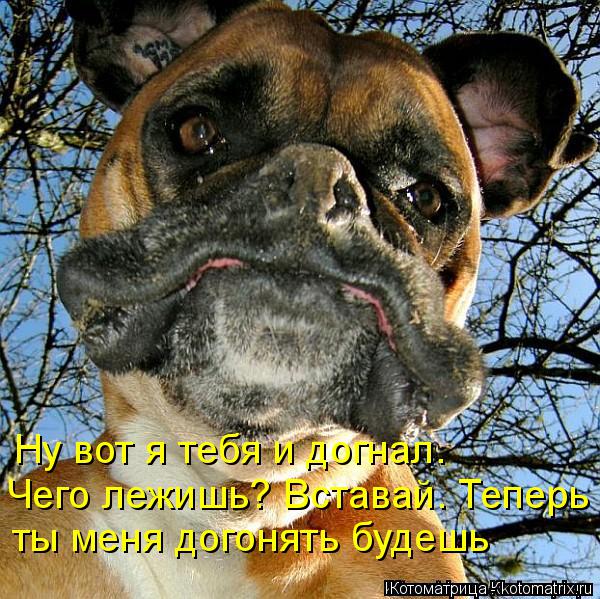 Котоматрица: Ну вот я тебя и догнал. Чего лежишь? Вставай. Теперь ты меня догонять будешь