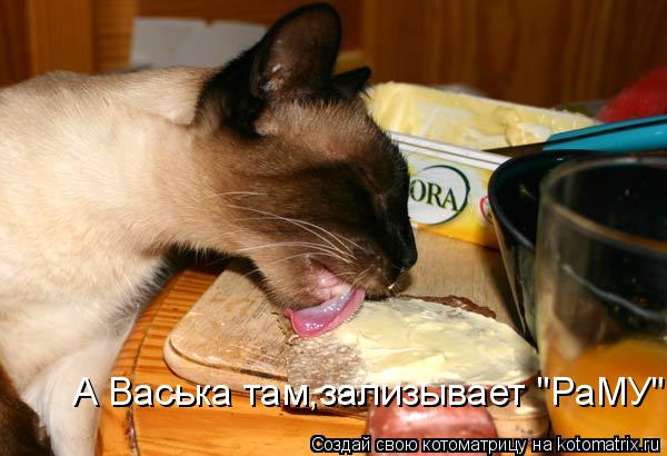 Котоматрица: А Васька там,зализывает "РаМУ"