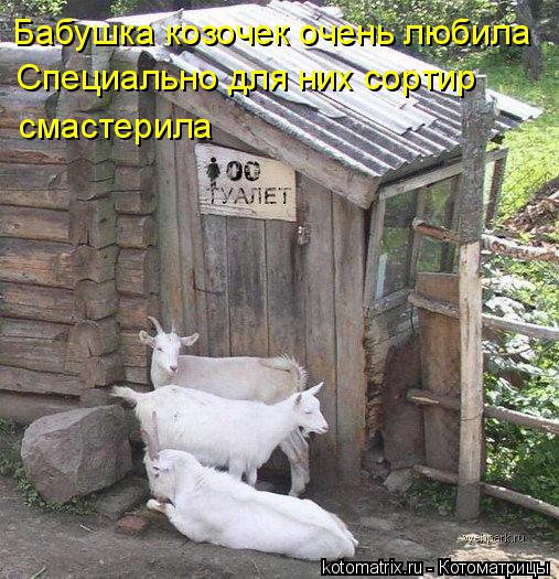 Котоматрица: Бабушка козочек очень любила Специально для них сортир смастерила