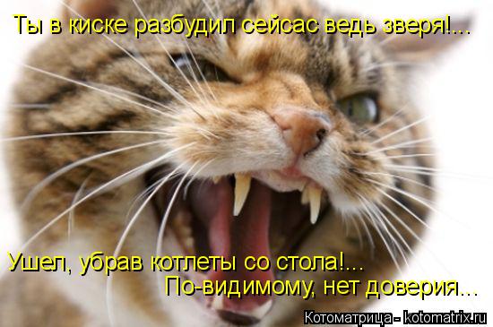 Котоматрица: Ты в киске разбудил сейсас ведь зверя!... Ушел, убрав котлеты со стола!... По-видимому, нет доверия...