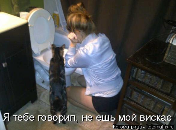 Котоматрица: Я тебе говорил, не ешь мой вискас