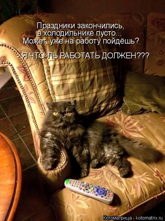 Котоматрица: Праздники закончились,  в холодильнике пусто... Может, уже на работу пойдёшь? Я ЧТО-ЛЬ РАБОТАТЬ ДОЛЖЕН???