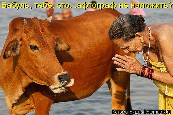Котоматрица: Бабуль, тебе, это...афтограф не наложить?