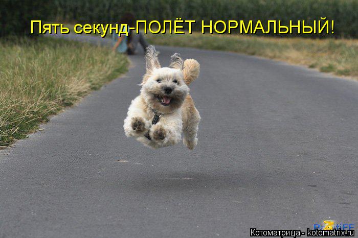 Котоматрица: Пять секунд-ПОЛЁТ НОРМАЛЬНЫЙ!
