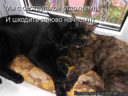 Котоматрица: Мы с сеструлькой отдохнем))) И шкодить заново начнем)))