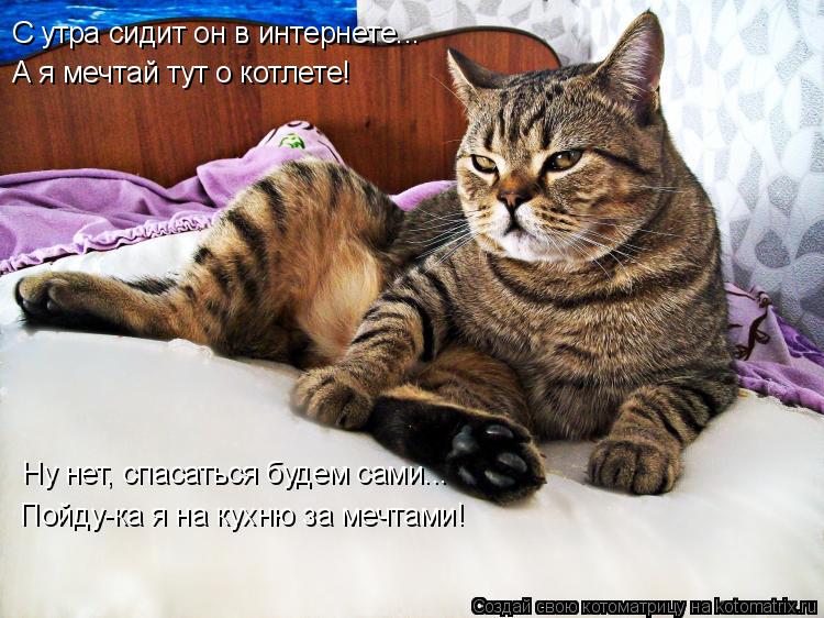 Котоматрица: С утра сидит он в интернете... А я мечтай тут о котлете! Ну нет, спасаться будем сами... Пойду-ка я на кухню за мечтами!