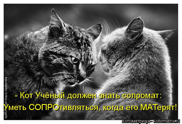 Котоматрица: - Кот Учёный должен знать сопромат: Уметь СОПРОтивляться, когда его МАТерят!