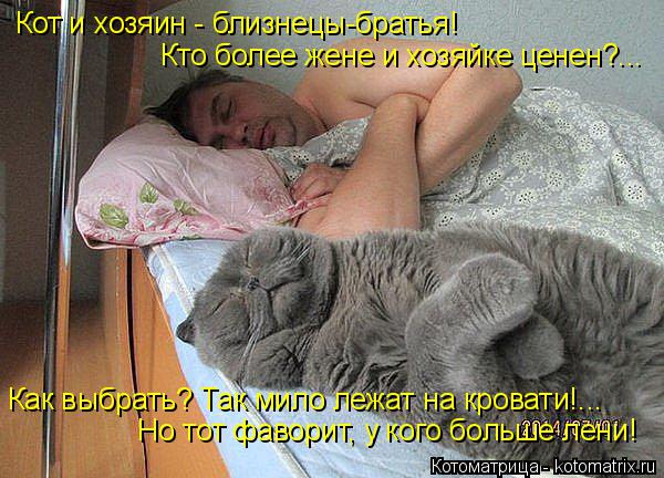 Котоматрица: Кот и хозяин - близнецы-братья! Кто более жене и хозяйке ценен?... Как выбрать? Так мило лежат на кровати!... Но тот фаворит, у кого больше лени!