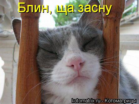 Котоматрица: Блин, ща засну