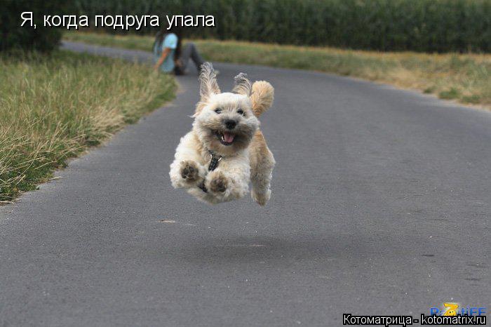 Котоматрица: Я, когда подруга упала