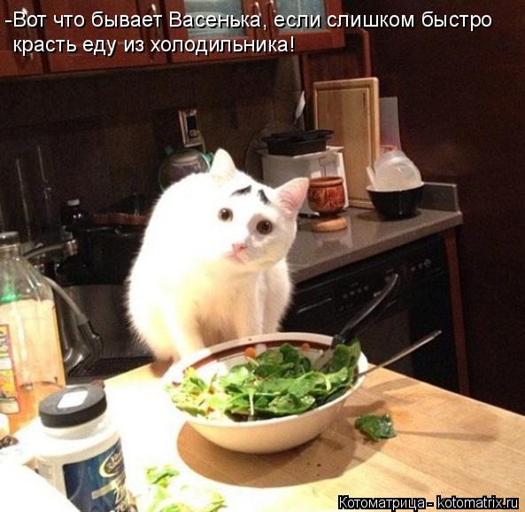 Котоматрица: -Вот что бывает Васенька, если слишком быстро красть еду из холодильника!
