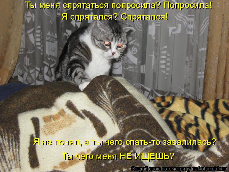 Котоматрица: Ты меня спрятаться попросила? Попросила! Я спрятался? Спрятался! Я не понял, а ты чего спать-то завалилась? Ты чего меня НЕ ИЩЕШЬ?