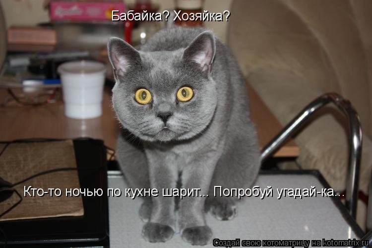 Котоматрица: Бабайка? Хозяйка?  Кто-то ночью по кухне шарит... Попробуй угадай-ка...