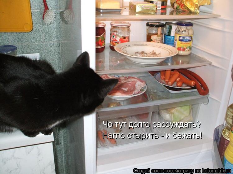 Котоматрица: Чо тут долго рассуждать? Нагло стырить - и бежать!