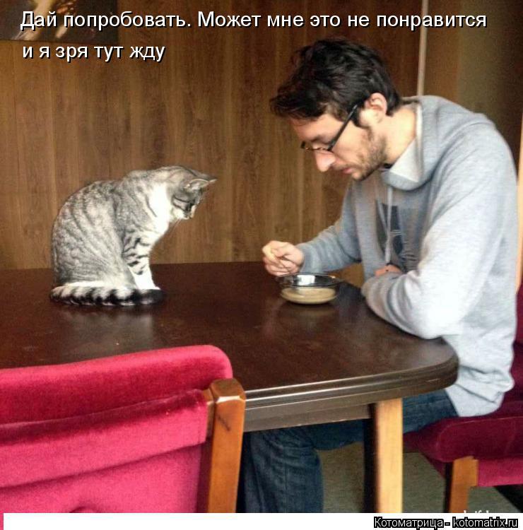 Котоматрица: Дай попробовать. Может мне это не понравится и я зря тут жду