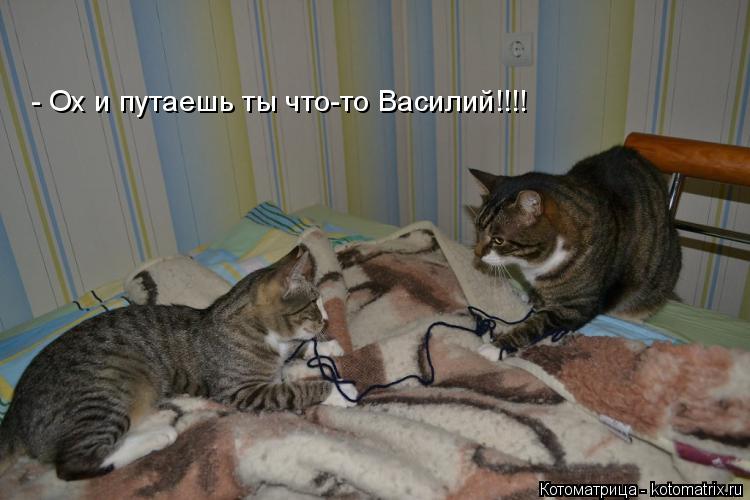 Котоматрица: - Ох и путаешь ты что-то Василий!!!!