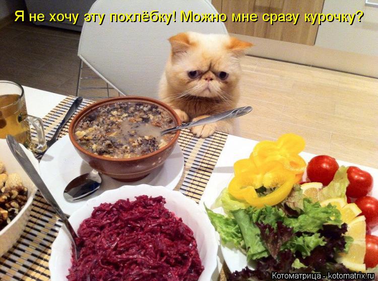 Котоматрица: Я не хочу эту похлёбку! Можно мне сразу курочку?