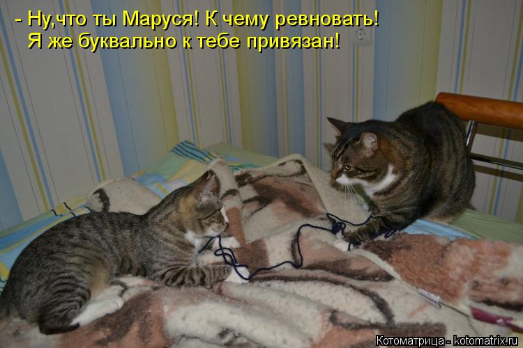 Котоматрица: - Ну,что ты Маруся! К чему ревновать! Я же буквально к тебе привязан!