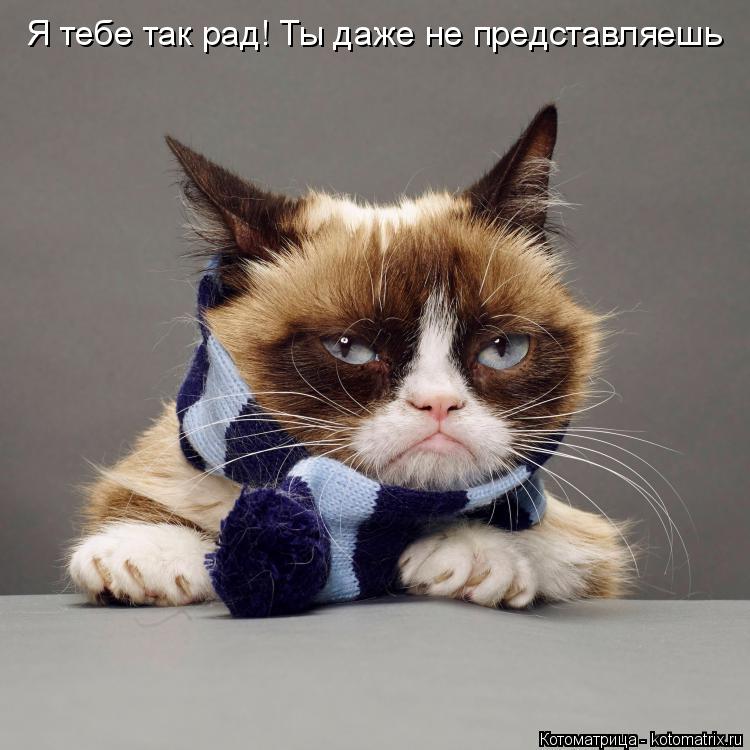 Котоматрица: Я тебе так рад! Ты даже не представляешь