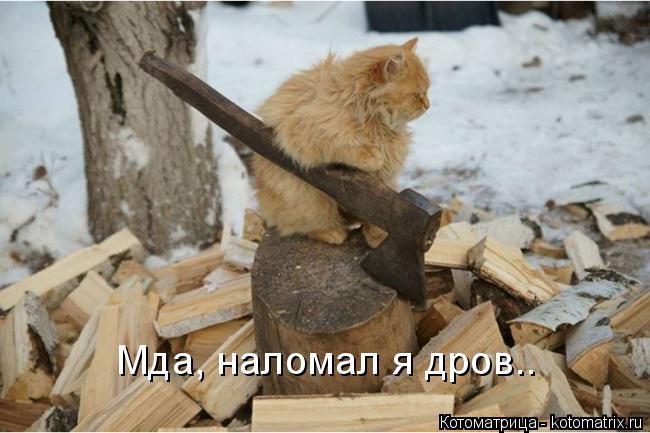 Котоматрица: Мда, наломал я дров..