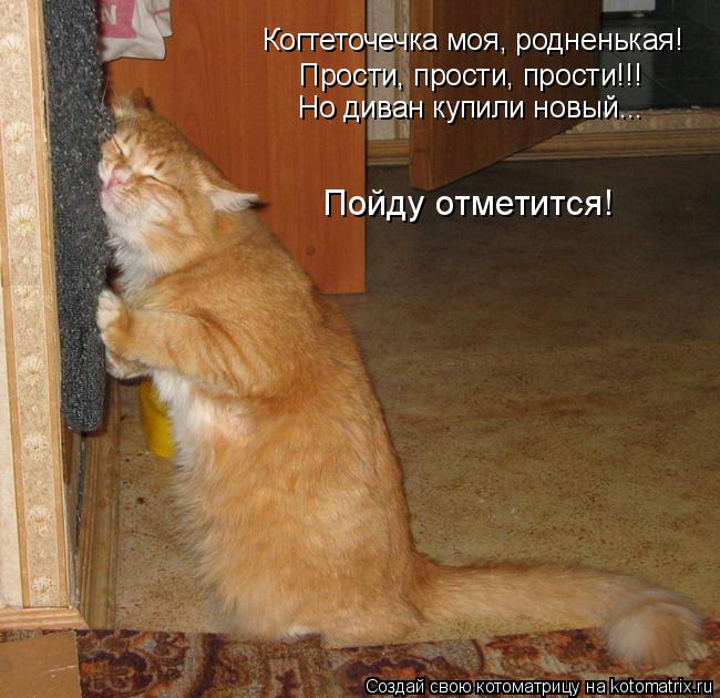 Котоматрица: Когтеточечка моя, родненькая! Прости, прости, прости!!! Но диван купили новый... Пойду отметится!