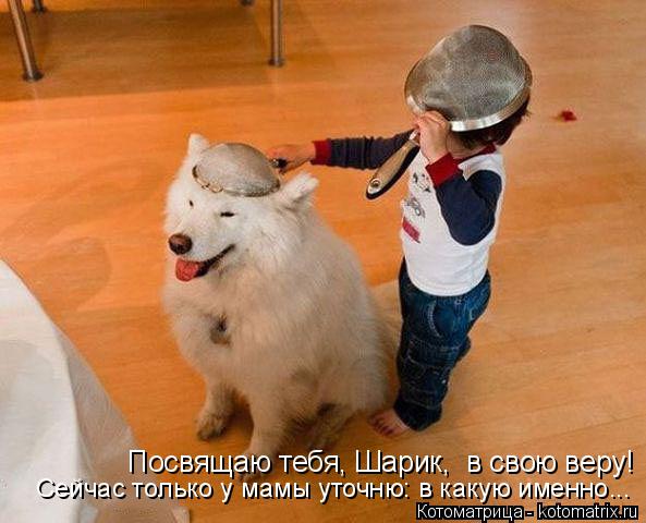 Котоматрица: Посвящаю тебя, Шарик,  в свою веру! Сейчас только у мамы уточню: в какую именно...