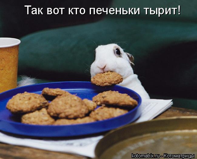Котоматрица: Так вот кто печеньки тырит!